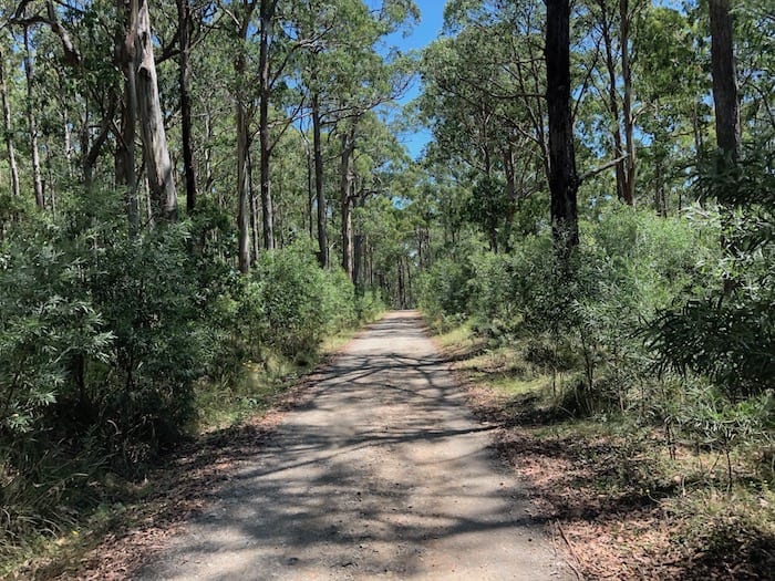 Styx River State Forest, Wattle Flat Campground.