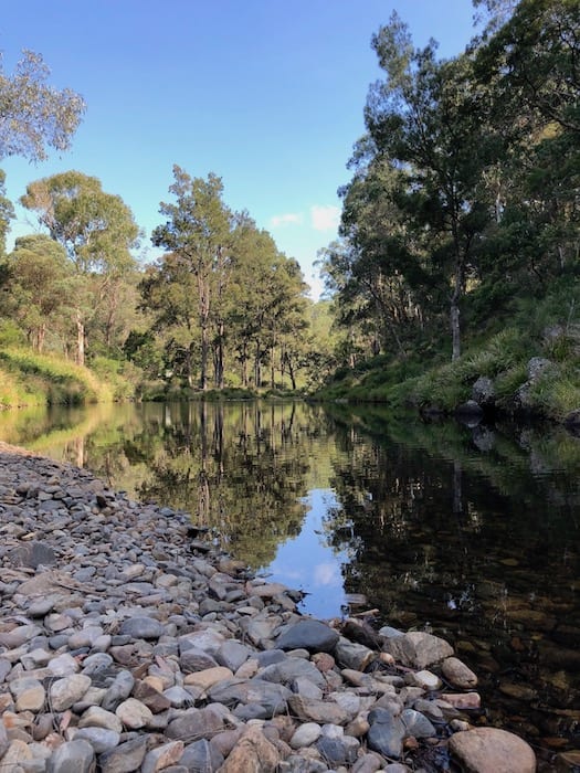 Styx River at Wattle Flat Campground.