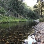 Styx River at Wattle Flat Campground.