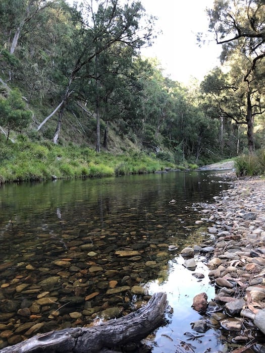 Styx River at Wattle Flat Campground.