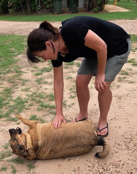 A very fat dog! Condamine.