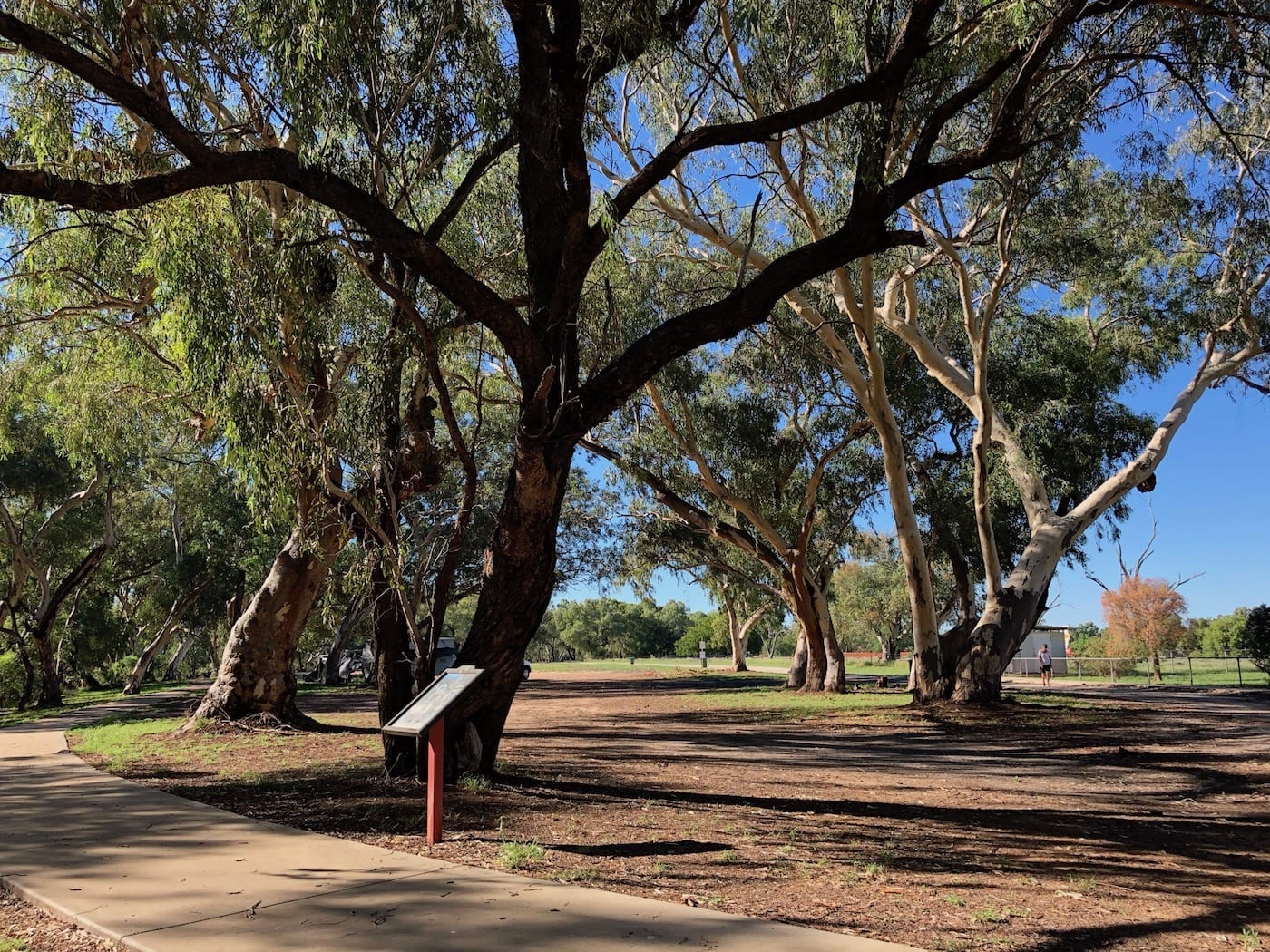 Bollon Campground.