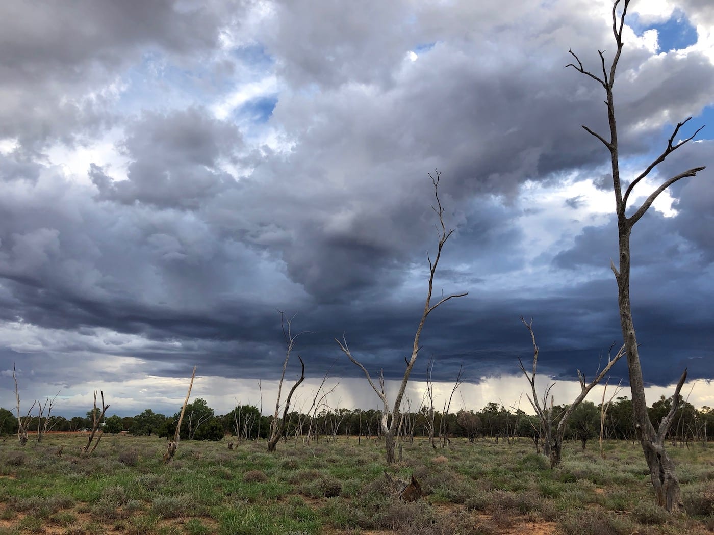 Storms brewing, Bollon QLD.