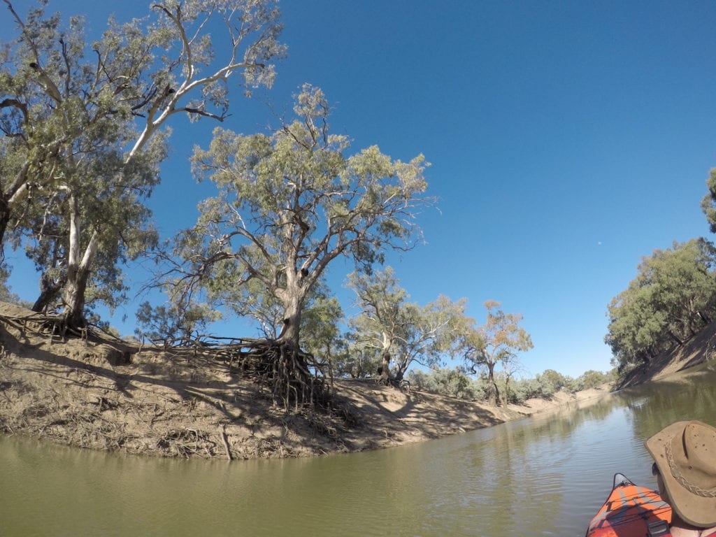 River red gums on the Darling River. Inflatable Kayaks.