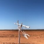 So much confusion about this name. Toorale, Western NSW.