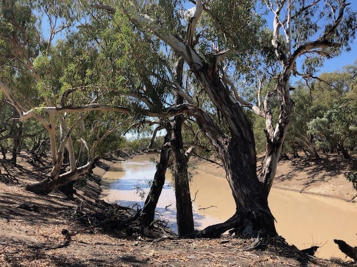 Darling River at Toorale National Park.