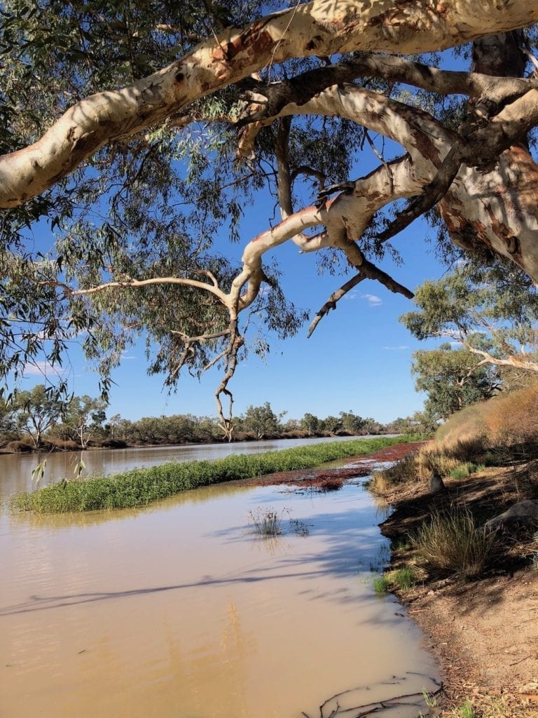 Cooper Creek in flood at Cullyamurra Waterhole.