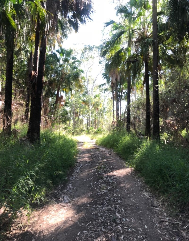 The track out of Cracow Beach QLD.