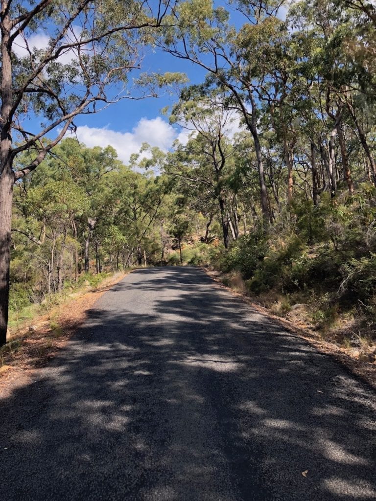 Climbing up into Blackdown Tableland National Park.