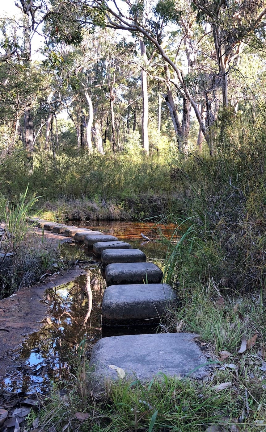 Mimosa Creek. Walks In Blackdown Tableland NP.