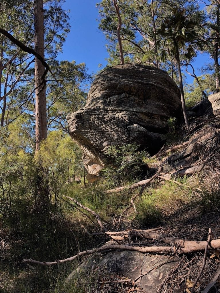 Standstone outcrops. Walks In Blackdown Tableland NP.