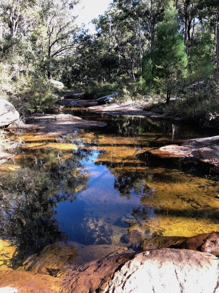 Mimosa Creek. Walks In Blackdown Tableland NP.