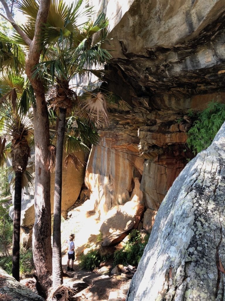 Aboriginal hand stencils. Walks In Blackdown Tableland NP.