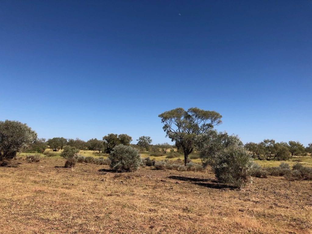 Looking towards the Diamantina River.