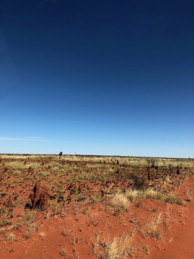 Termite mounds on the track to our campsite. Paruku (Lake Gregory).