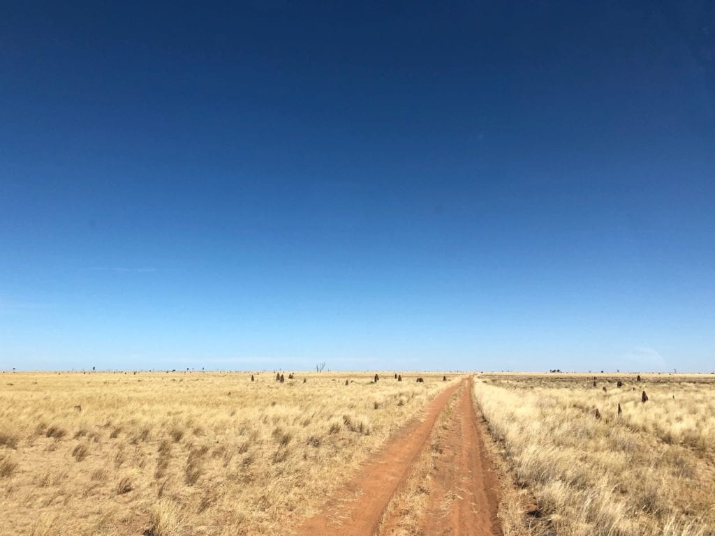 Crossing the floodplain at Paruku (Lake Gregory).