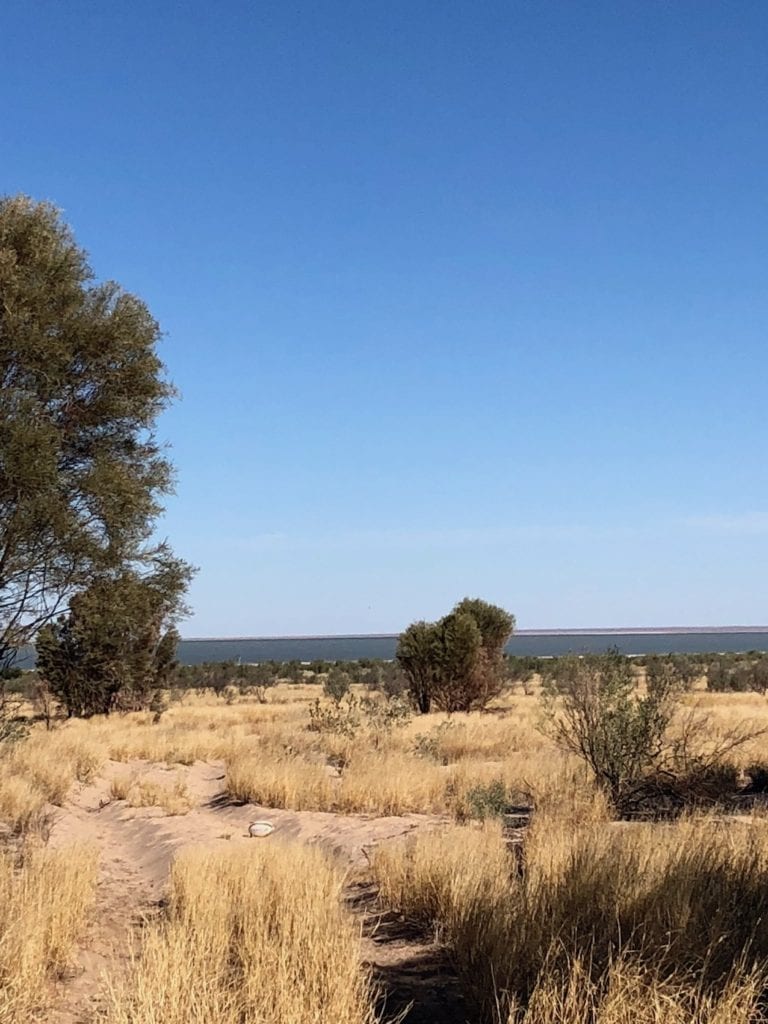 Paruku (Lake Gregory) emerges from the desert.