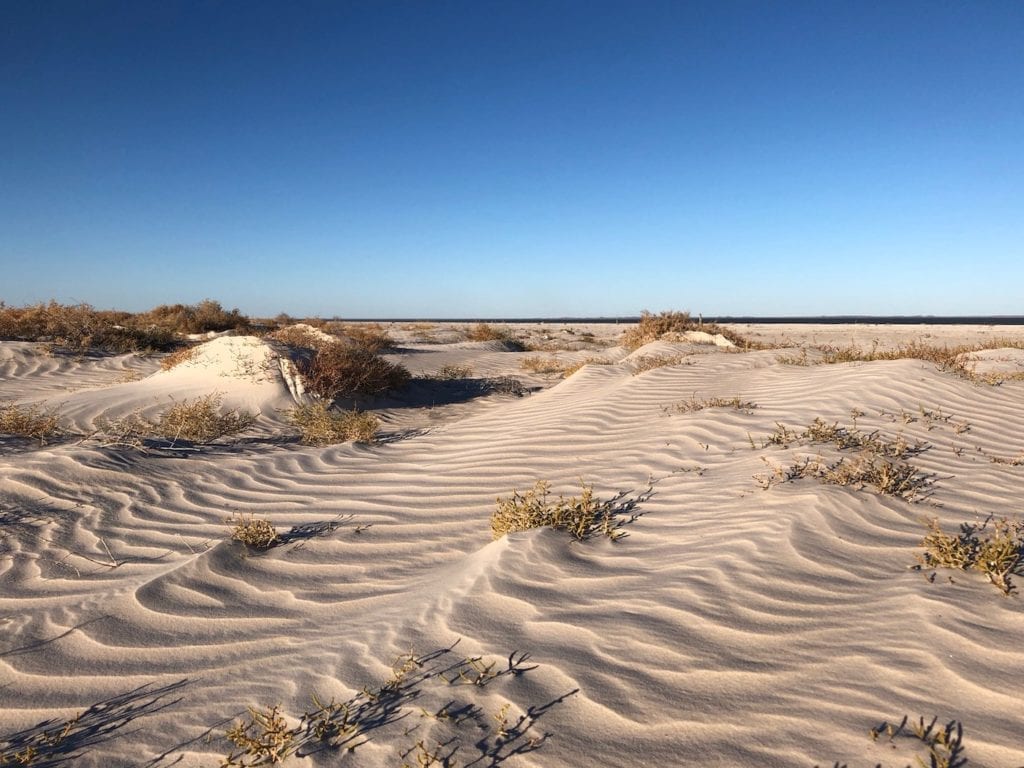 Ripples in the sand, Paruku (Lake Gregory).