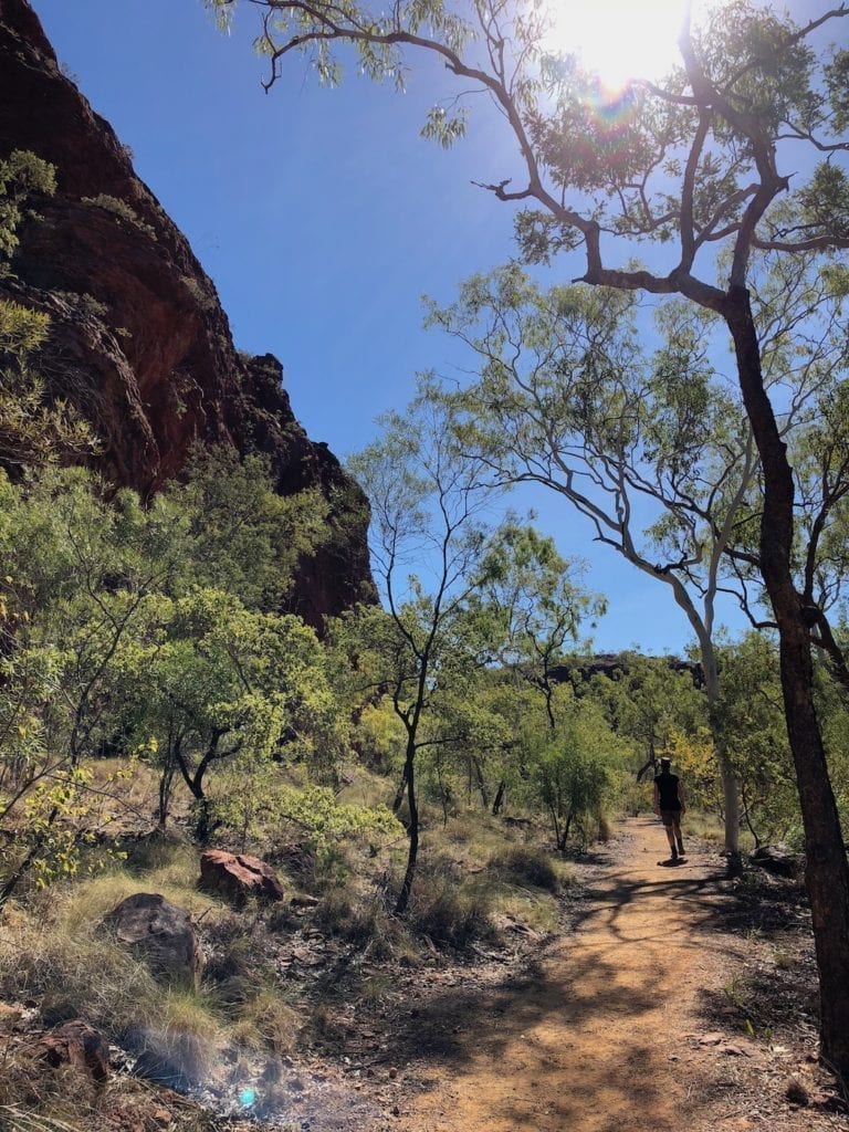 Wild Dog Dreaming Walk, Lawn Hill National Park (Boodjamulla).