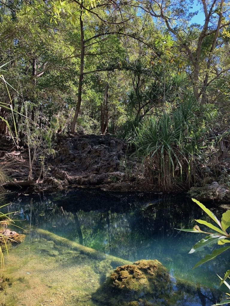 The Cascades, Lawn Hill National Park (Boodjamulla).