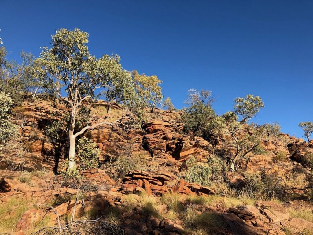 Upper Gorge Walk, Lawn Hill National Park (Boodjamulla).