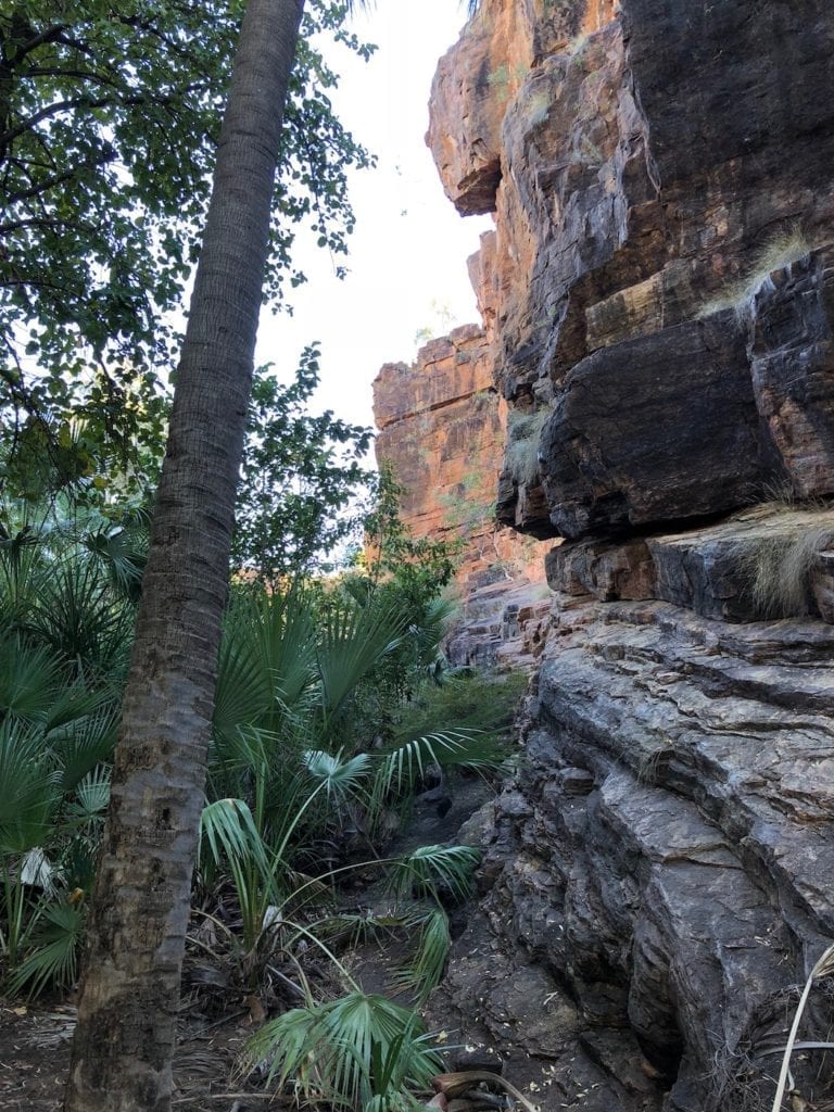 Upper Gorge Walk, Lawn Hill National Park (Boodjamulla).