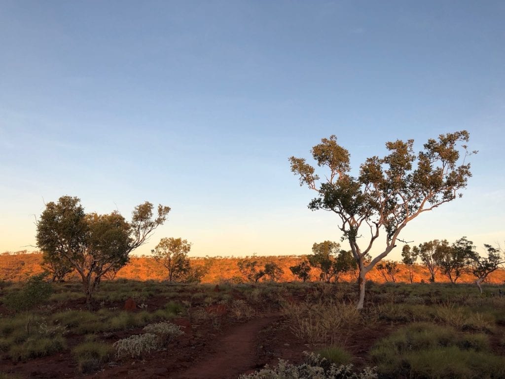 On top of Island Stack, Lawn Hill National Park (Boodjamulla).