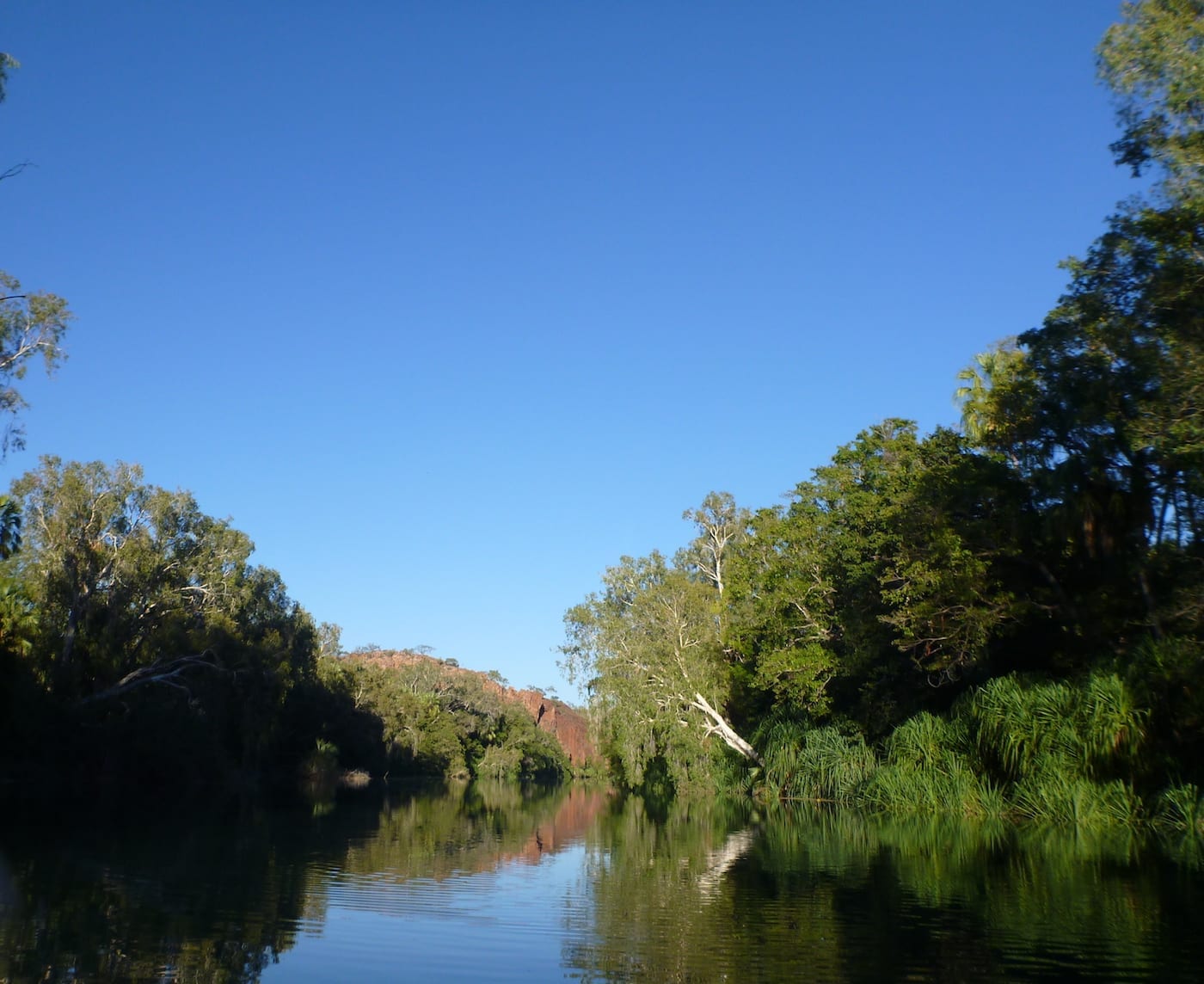 The gorges are spectacular at Boodjamulla (Lawn Hill) NP.