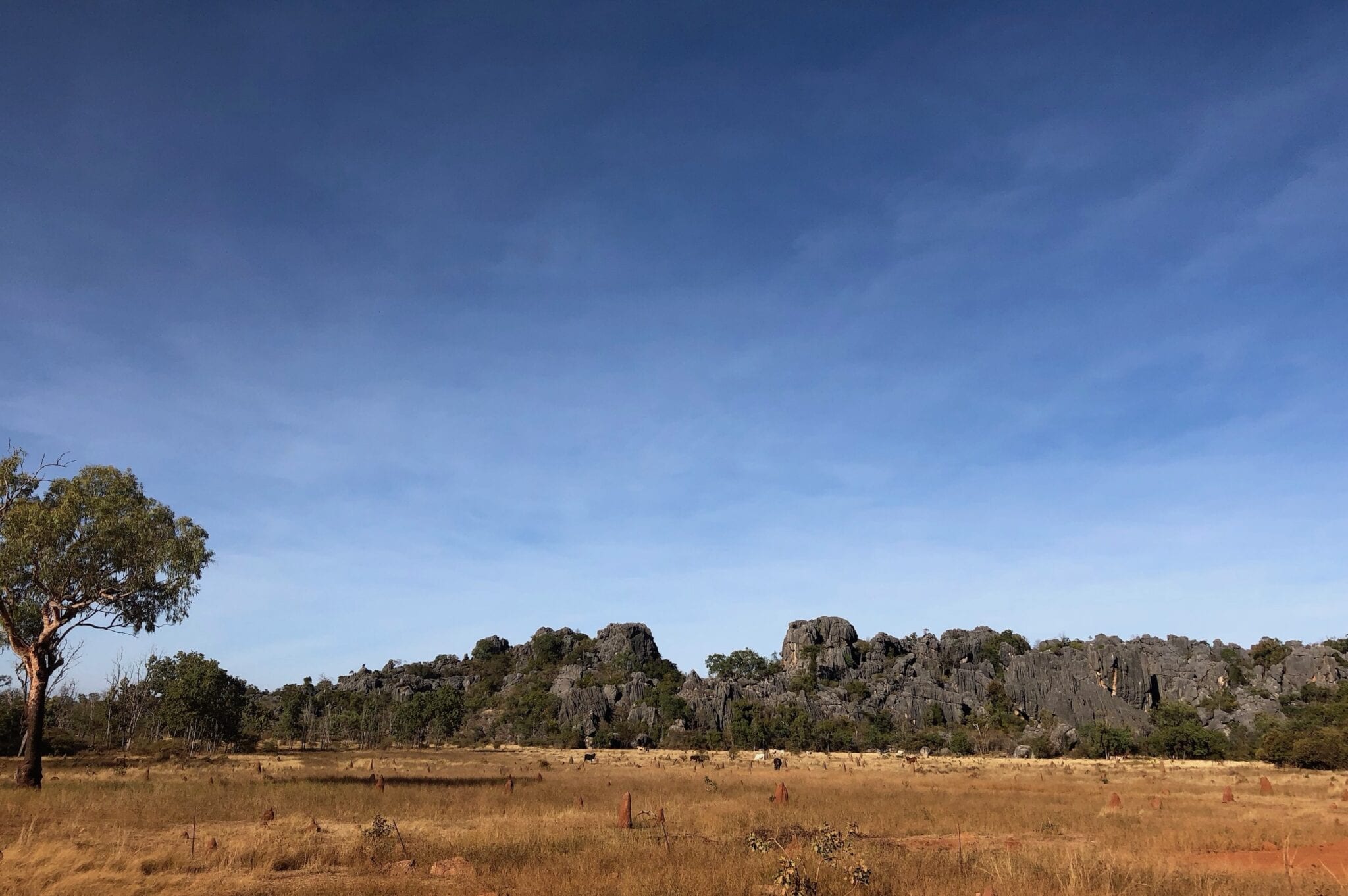 The strange black limestone ranges around Chillagoe.