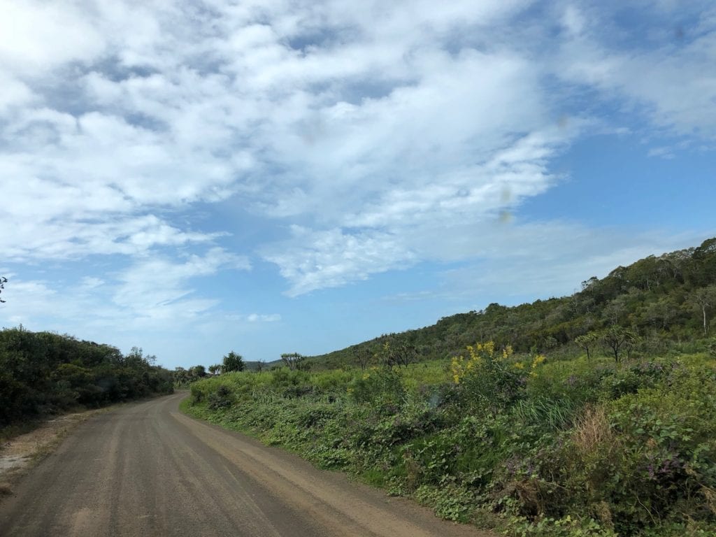 Driving through the white sand dunes on the way to Eddies Camp. Not your typical sand dune scrub.