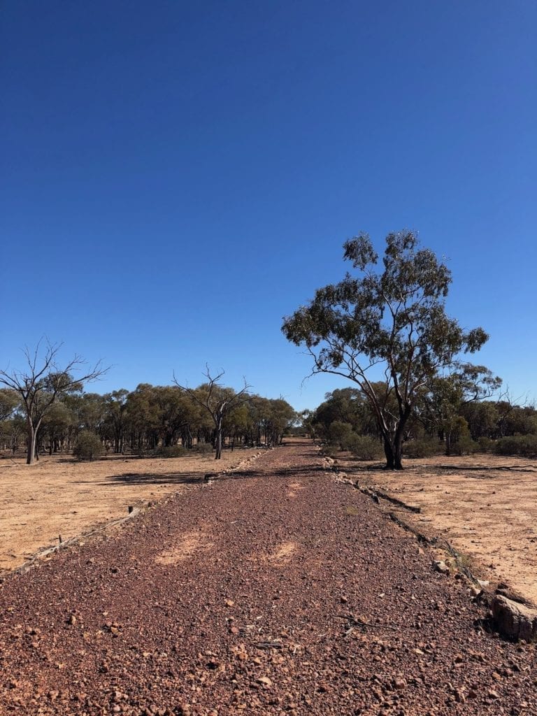 A Cobb & Co horse change station outside Adavale.