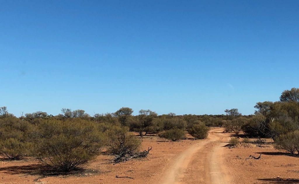 Mulga scrub in Hell Hole Gorge National Park.