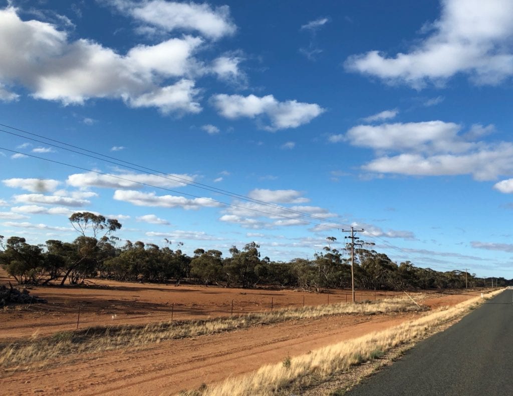 The paddock to the left is completely bare. NSW drought.