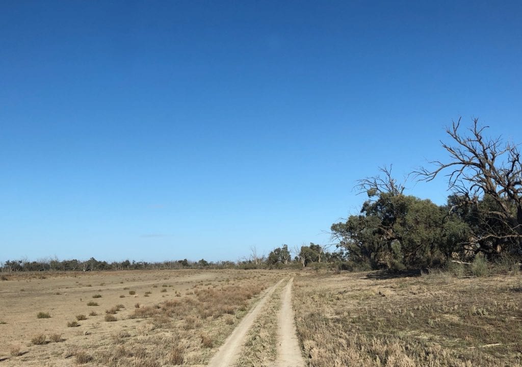 Driving back out to the Old Mail Road from the Murray River, Murray Sunset National Park.