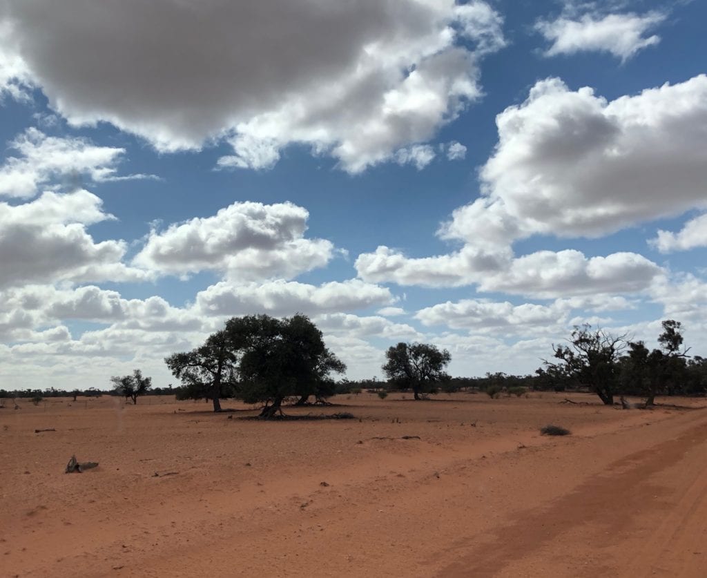 Not a blade of grass in sight. NSW drought.