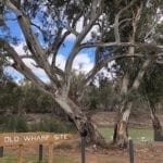 The old wharf site, Darling River Pooncarie NSW.