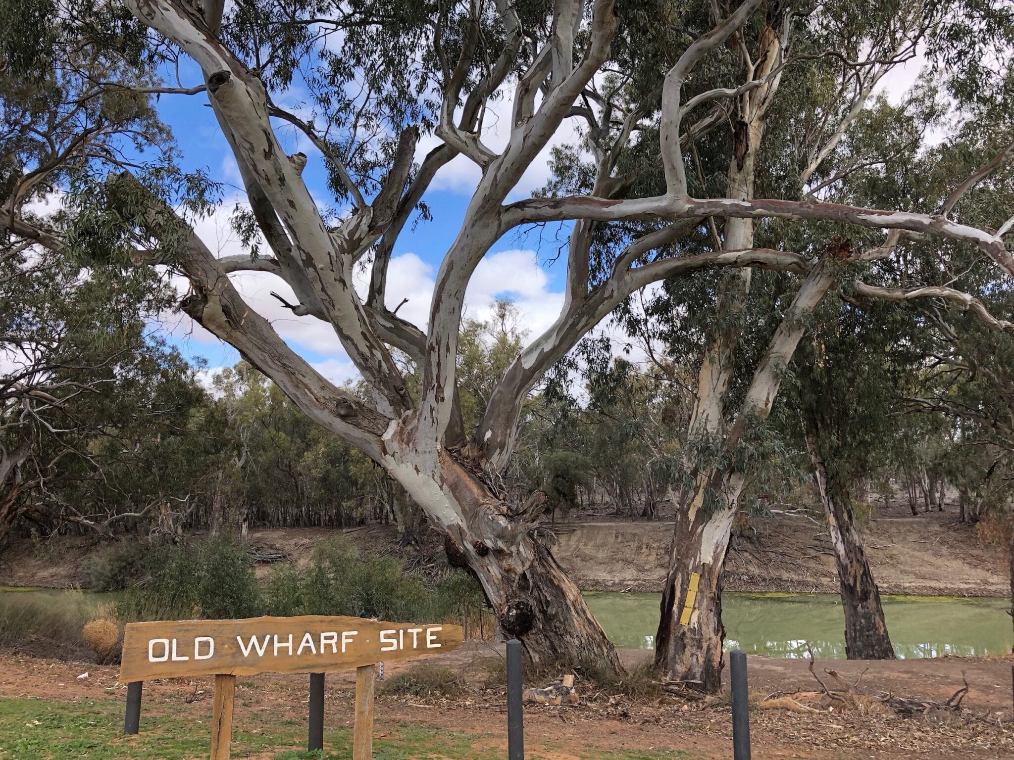 The old wharf site, Darling River Pooncarie NSW.