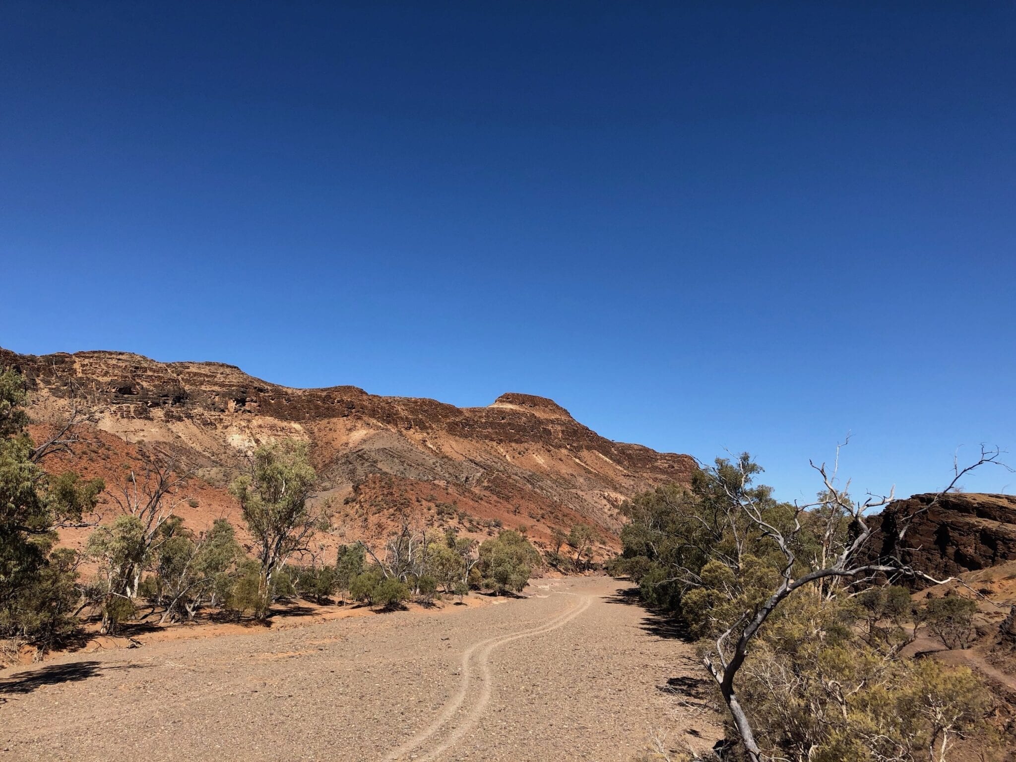 Looking back up Chambers Creek to Mount Chambers, Chambers Gorge.