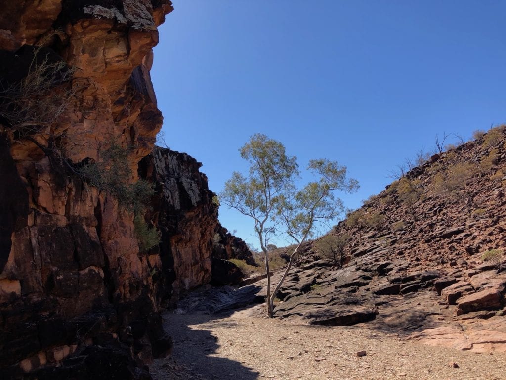 There's dozens of rock engravings along the cliff wall to the left. Chambers Gorge.