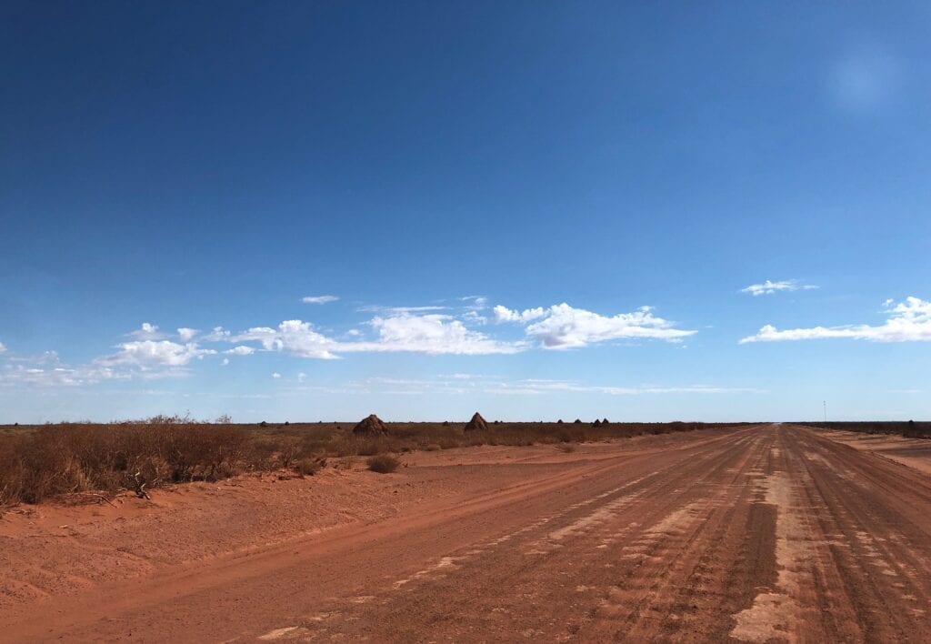 Endless plains of giant termite mounds, Tanami Road.