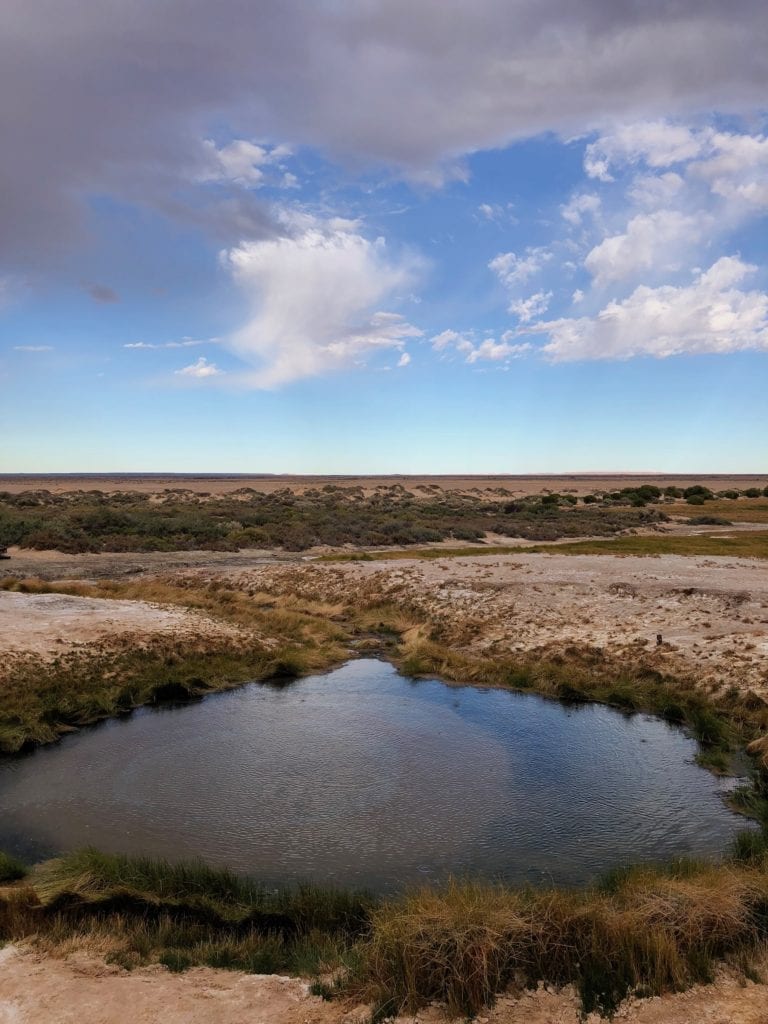 The Bubbler, near Old Ghan line. Salt Lakes and Water