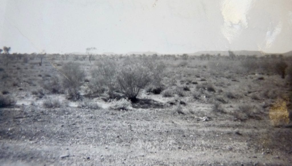 MacDonnell Range in the distance, from the south 1950. Finally clear of the endless sand dunes!