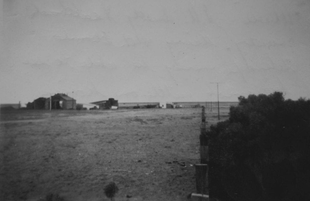 Maree, S.A. dusty, saltbush country. Big mob cattle on horizon. 1950. Quorn SA