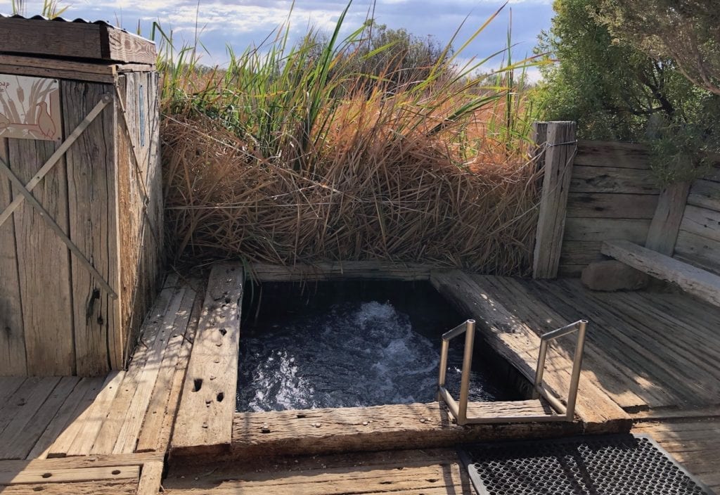 Coward Springs natural spa. The water flows into the wetlands behind the spa.