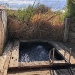 Coward Springs natural spa. The water flows into the wetlands behind the spa.