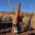 Vegetarian Pasta from Campers Pantry in front of a termite mound in Judbarra / Gragory National Park, NT.