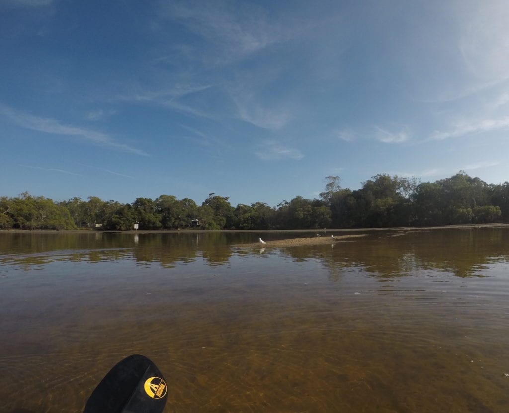 Watch out for the sandbars at low tide on the Wooli Wooli River.