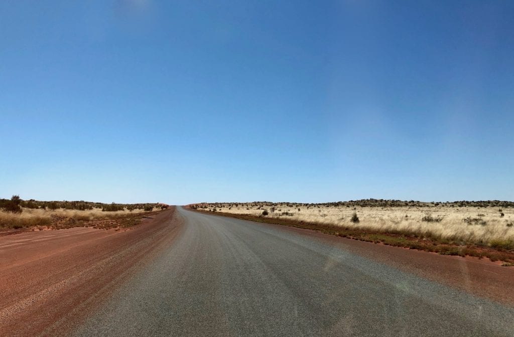 White spinifex between the red sand dunes. Great Central Road, Great Victoria Desert.