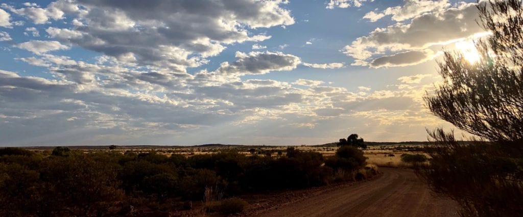 Late afternoon colours at Yarla-Kutjarra campground. Great Central Road, Great Victoria Desert.