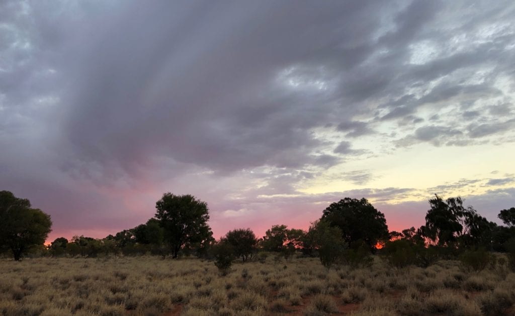 Sunset west of Kata Tjuta. Great Central Road, Great Victoria Desert.